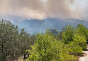 Νάξος: Φωτιά κοντά σε παραλία- Εστάλη μήνυμα 112 στους λουόμενους