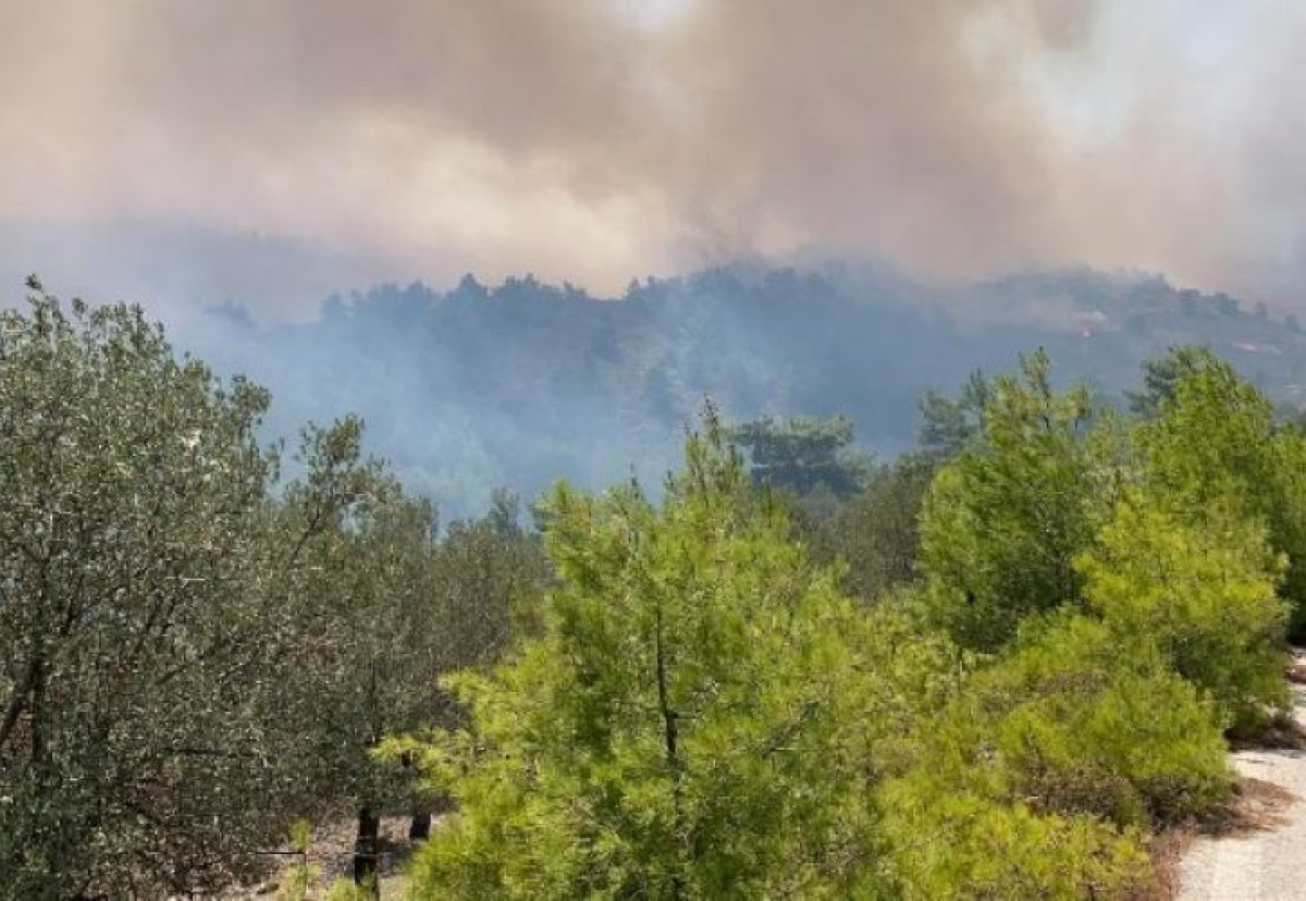 Νάξος: Φωτιά κοντά σε παραλία- Εστάλη μήνυμα 112 στους λουόμενους