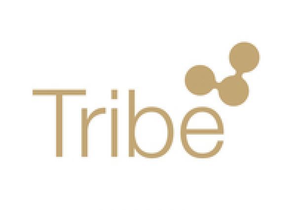 Συμμαχία της Tribe με τη Grey
