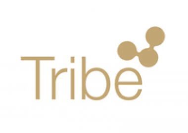 Συμμαχία της Tribe με τη Grey