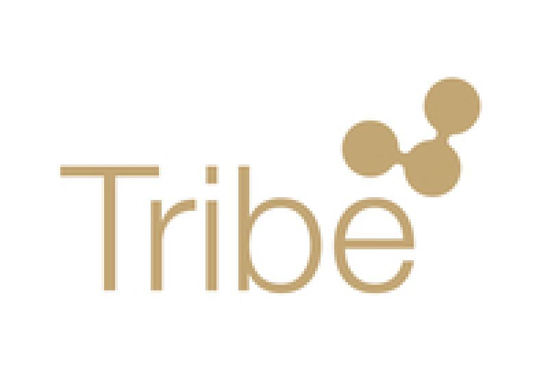 Συμμαχία της Tribe με τη Grey