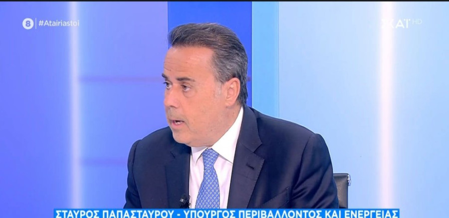 Παπασταύρου: Η είσοδος νέων επενδυτών ενισχύει το καλώδιο Ελλάδας - Κύπρου - Ισραήλ