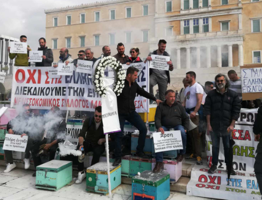 Μελισσοκόμοι, φοιτητές και υγειονομικοί διαδηλώνουν στο κέντρο (videos)