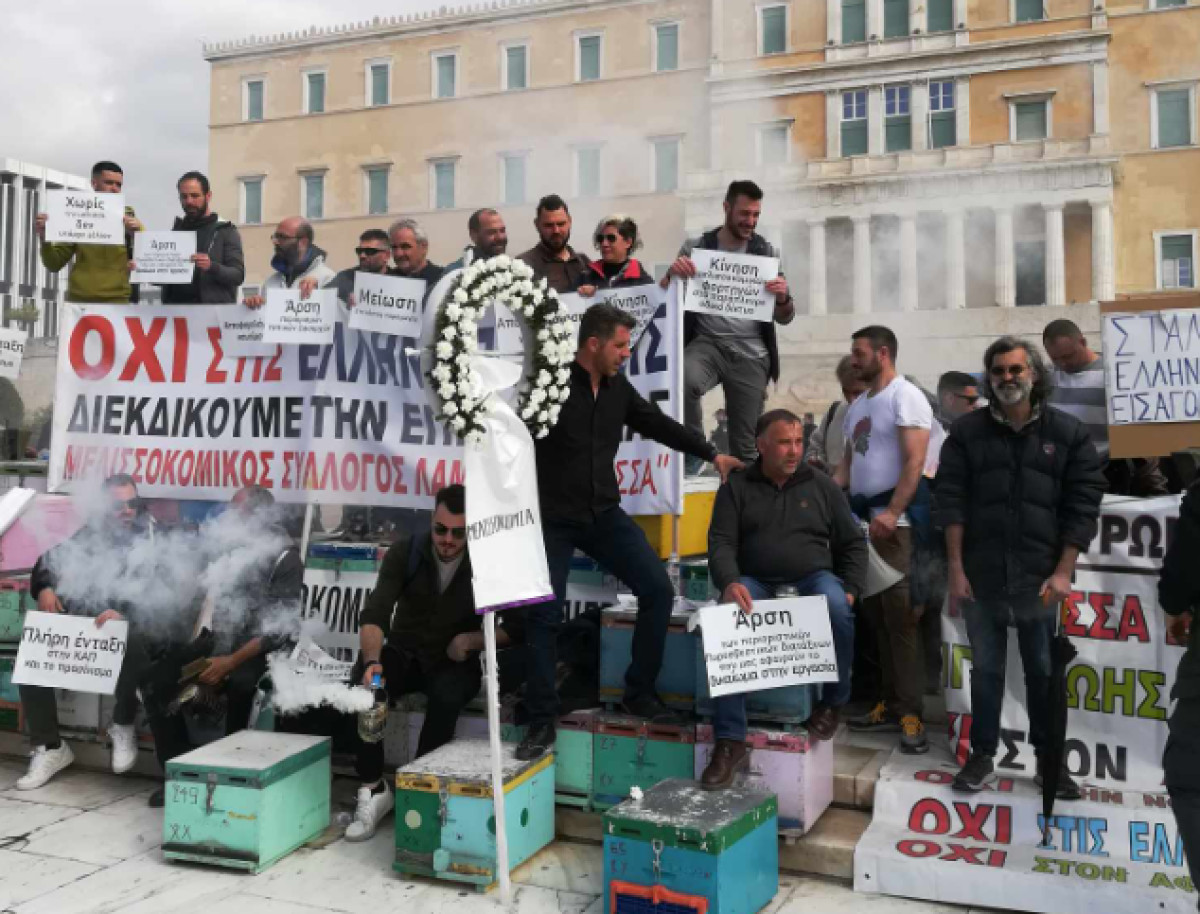 Μελισσοκόμοι, φοιτητές και υγειονομικοί διαδηλώνουν στο κέντρο (videos)
