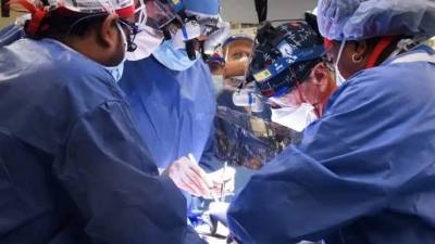 ΗΠΑ:Η πρώτη στον κόσμο μεταμόσχευση καρδιάς από χοίρο σε άνθρωπο