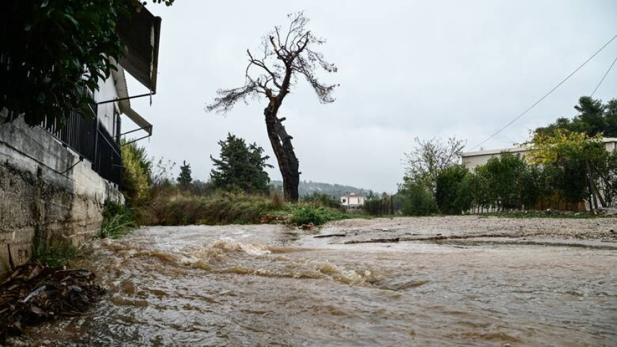 Κακοκαιρία Gaia: Προβλήματα στις ακτοπλοϊκές συγκοινωνίες- Δεκάδες κλήσεις στην Πυροσβεστική