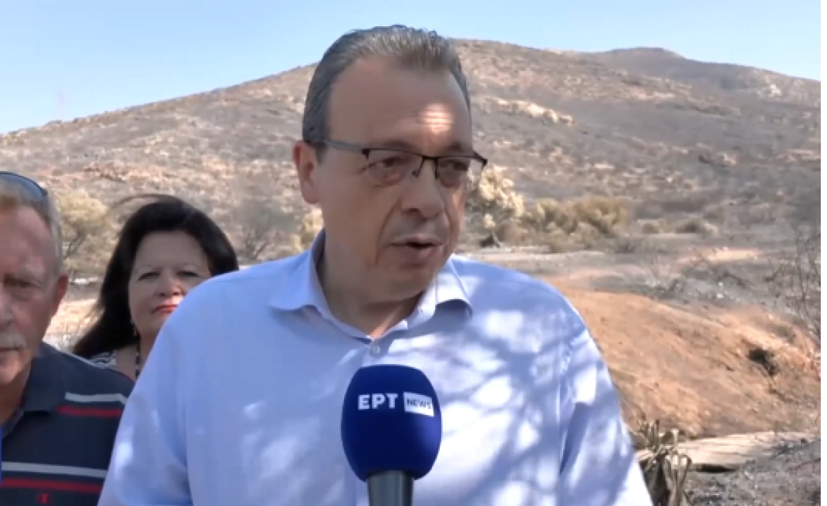 Φάμελλος: Άμεσες δράσεις σε τρεις άξονες για τις πυρκαγιές