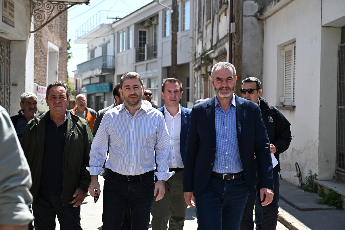 Ανδρουλάκης: Η κυβέρνηση απέτυχε - Πέντε μέτρα στήριξης για τους κτηνοτρόφους της Λέσβου
