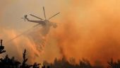 Μάχη με τις φλόγες στο Κρυονέρι Αμαλιάδας