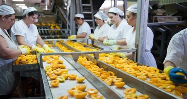Ροδάκινα: Ο φόβος της πτώσης των τιμών φέρνει "πυρετό" στη Β. Ελλάδα