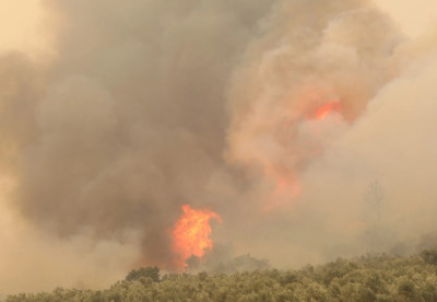 Φωτιά σε δύσβατη δασική περιοχή στο Πανόραμα Δράμας