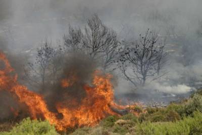 Φωτιά σε δασική έκταση στη Ναύπακτο