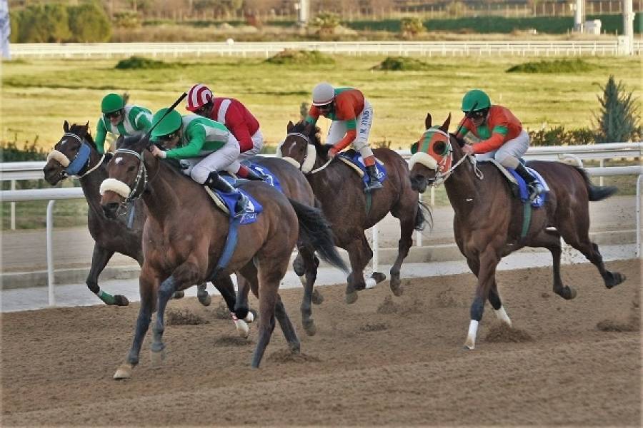 O ΠΑΡΤΥ ΤΑΪΓΚΕΡ νικητής του 1ου Μarkopoulo Park Handicap