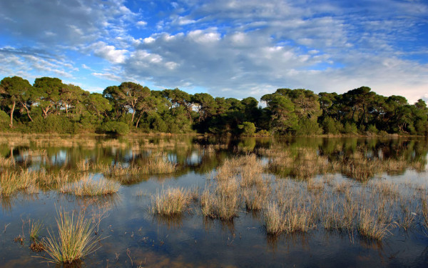 Περιβαλλοντικό νομοσχέδιο: Αποσύρθηκαν οι διατάξεις για τις περιοχές Natura-Νέα διαβούλευση