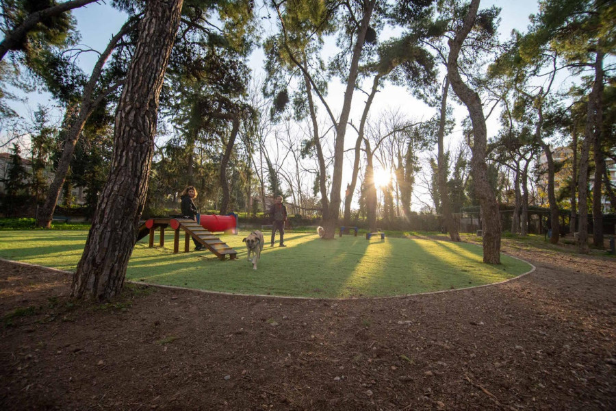 Νέα σύγχρονα dog parks σε Άλσος Χωροφυλακής και Λόφο Λαμπράκη