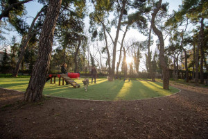 Νέα σύγχρονα dog parks σε Άλσος Χωροφυλακής και Λόφο Λαμπράκη