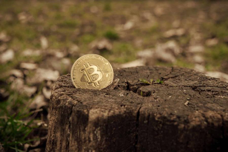 Η «πράσινη» πλευρά των κρυπτονομισμάτων-Οι 15 οικολογικοί ανταγωνιστές του Bitcoin