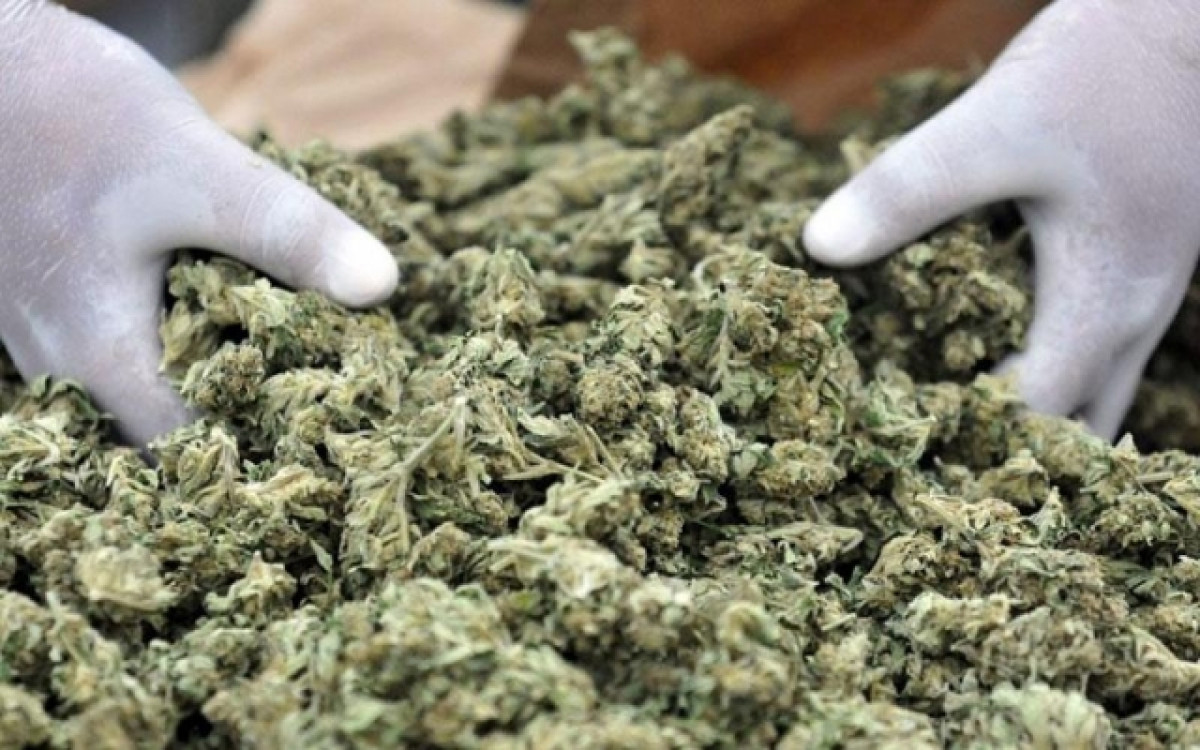 Αυτοί είναι είναι 8 ηγέτες του κόσμου στη βιομηχανία της... μαριχουάνας