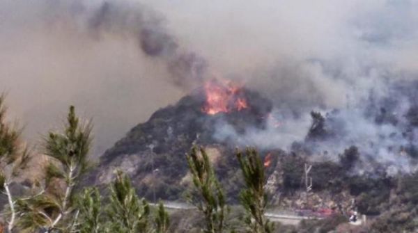 Σε ύφεση η πυρκαγιά στη Σάμο- Στάχτη 290 στρ.δασική έκτασης