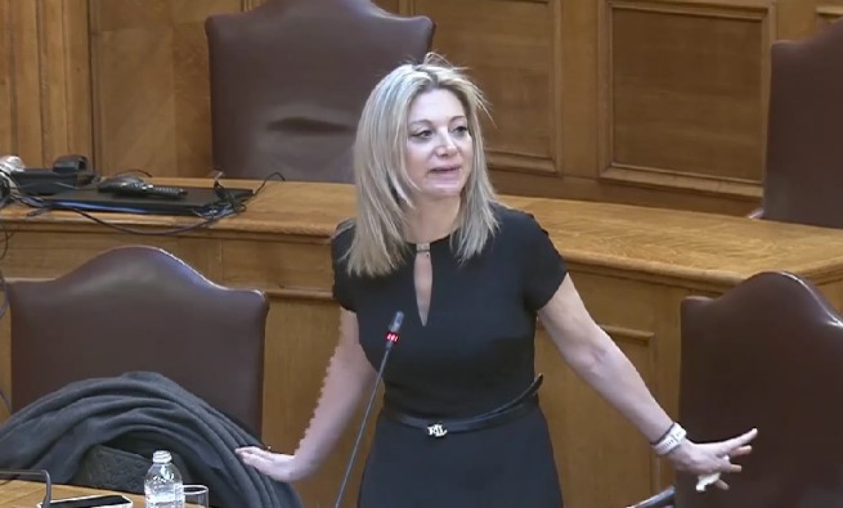 Πρόεδρος Συλλόγου Θυμάτων των Τεμπών: Συγκλονιστική κατάθεση στην Εξεταστική