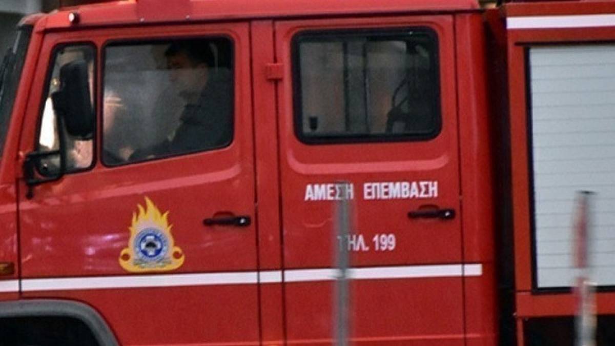 Υπό έλεγχο η πυρκαγιά στο Άλσος Βεΐκου