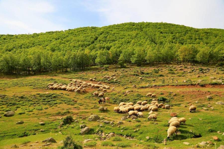 Πτώση στον δείκτη τιμών εκροών σε γεωργία-κτηνοτροφία τον Φεβρουάριο