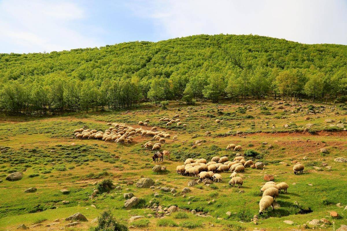 Πτώση στον δείκτη τιμών εκροών σε γεωργία-κτηνοτροφία τον Φεβρουάριο