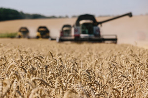 Ρωσία: Προς εξαγωγή 30 εκατ. τόνοι σιτηρών το β' εξάμηνο