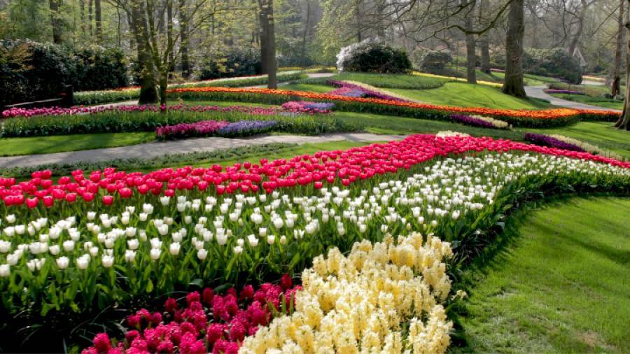 Keukenhof: Οι τουλίπες του διάσημου «Κήπου της Ευρώπης» άνθισαν και το θέαμα είναι εντυπωσιακό