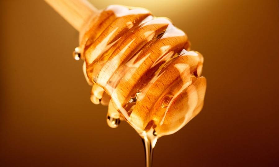 Οι Γάλλοι γλυκαίνονται με το ελληνικό μέλι-Πρόκληση για ανάπτυξη εξαγωγών