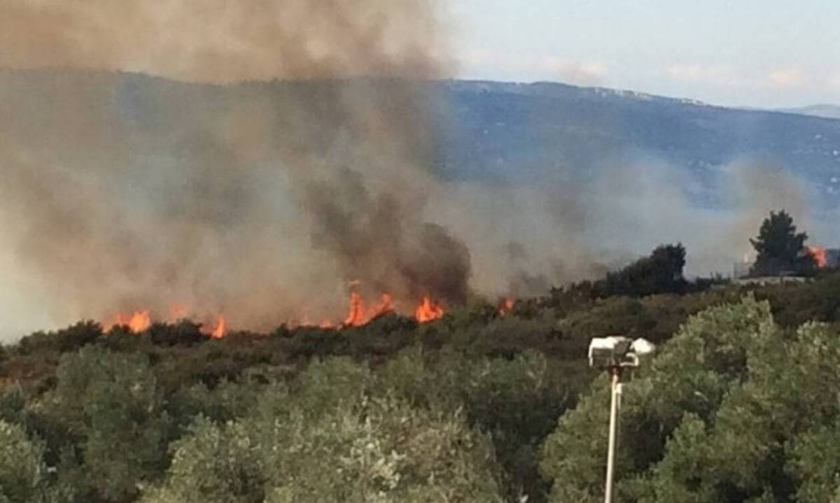 Φωτιά στην Κεφαλονιά: Εκκενώνεται περιοχή με εντολή του δημάρχου
