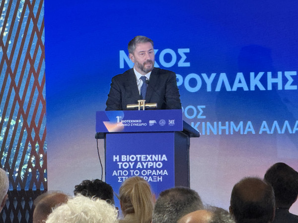 Μικρομεσαίοι στο προσκήνιο: Η ατζέντα Ανδρουλάκη για φόρους, χρέη και χρηματοδότηση