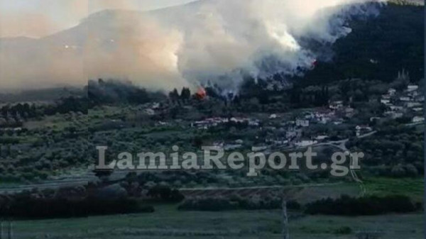 Μεγάλη φωτιά σε πευκόφυτη περιοχή στη Μενδενίτσα Φθιώτιδας