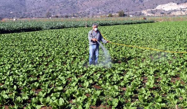 Αγρότες: Επιβαρύνσεις έως 3.100 ευρώ- Τι καλούνται να πληρώσουν