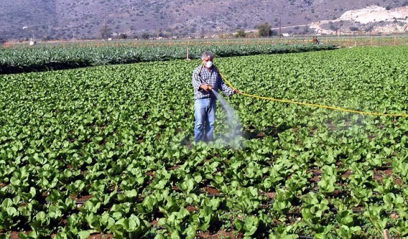 Αγρότες: Επιβαρύνσεις έως 3.100 ευρώ- Τι καλούνται να πληρώσουν