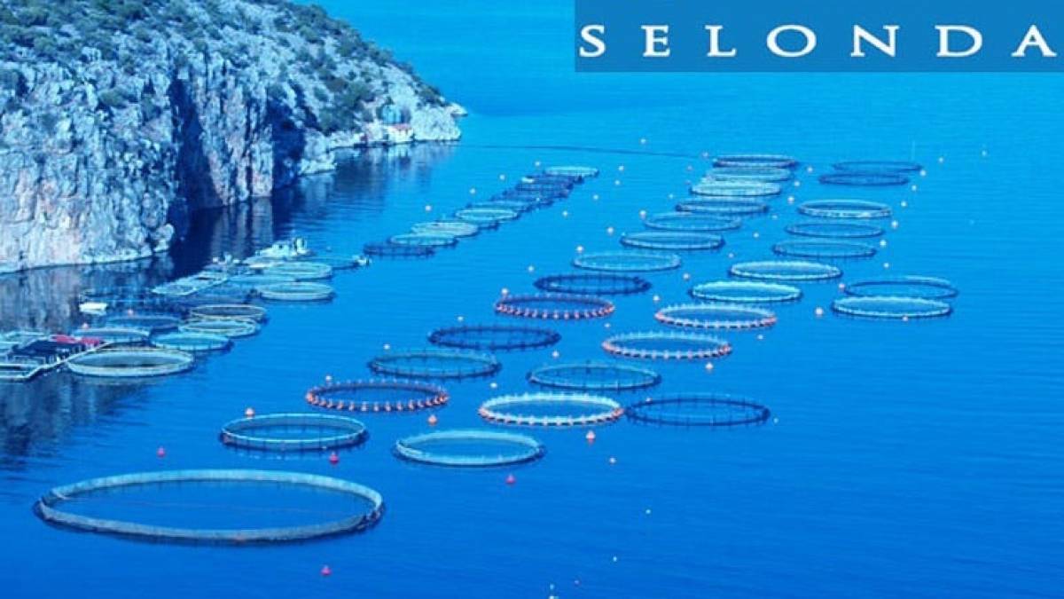 Σελόντα: «Πράσινο φως» ΓΣ για έκδοση τριών ομολογιακών