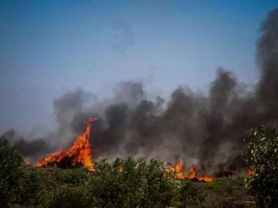 Πυρκαγιά στις Ερυθρές της Μάνδρας Αττικής: Καίει δάσος στον Κιθαιρώνα