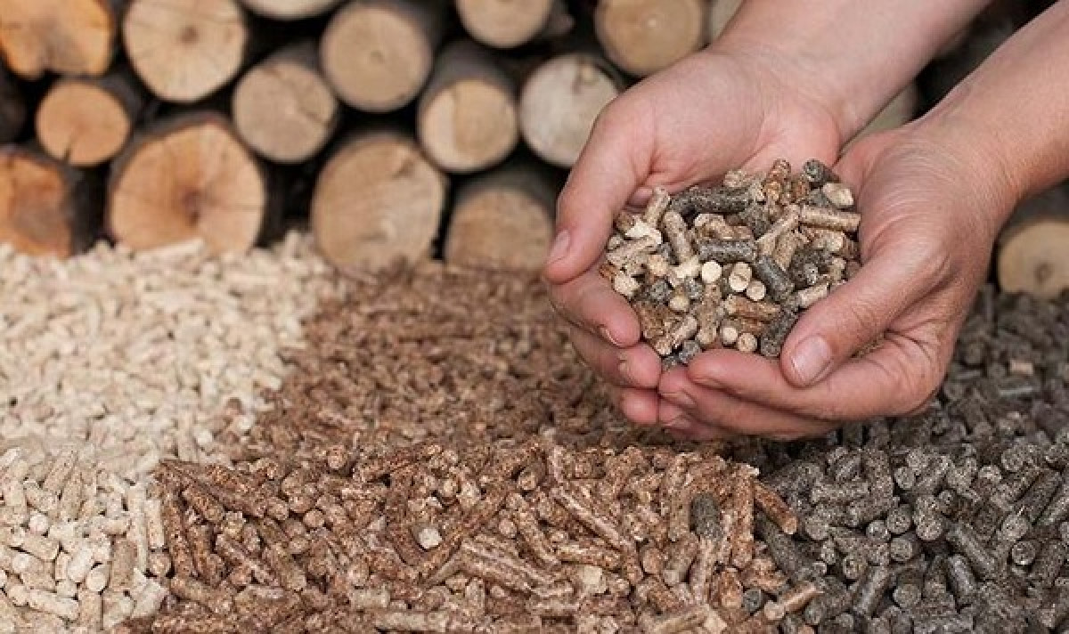«Τσουχτερές» οι τιμές σε πετρέλαιο θέρμανσης και καυσόξυλα- Πόσο κοστίζουν
