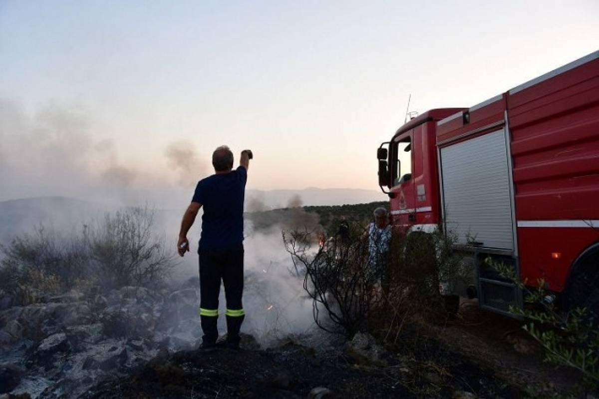 Νέες ζώνες αντιπυρικής προστασίας στο νομό Ηλείας