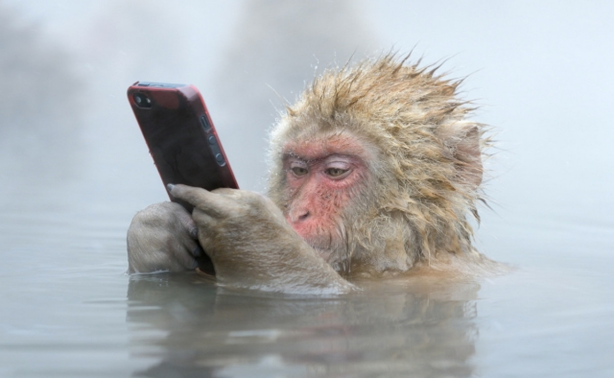 Τα smartphones απειλούν τον αυχένα