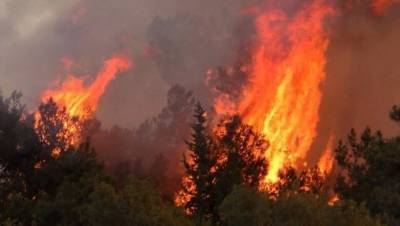 Κύπρος: Νέα πυρκαγιά- Εκκένωση σπιτιών
