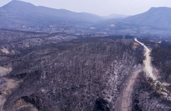 Κάηκαν πάνω από 1,6 εκατ. στρέμματα τη φετινή αντιπυρική περίοδο