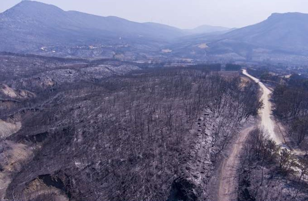 Κάηκαν πάνω από 1,6 εκατ. στρέμματα τη φετινή αντιπυρική περίοδο