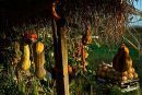 Δέκα εικόνες του National Geographic για την Ελλάδα