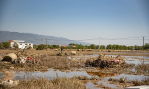 Θεσσαλία: 19 νέα κρούσματα λεπτοσπείρωσης από τις 6 Οκτωβρίου