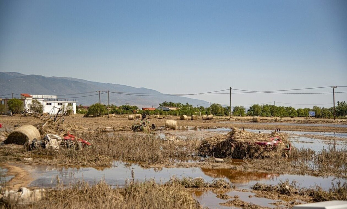 Θεσσαλία: 19 νέα κρούσματα λεπτοσπείρωσης από τις 6 Οκτωβρίου