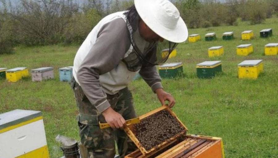 ΥΠΑΑΤ: Σύσταση Εθνικής Επιτροπής για τη Βιώσιμη Ανάπτυξη της Μελισσοκομίας
