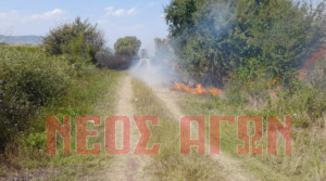 Πυρκαγιά στην Κρύα Βρύση Καρδίτσας - Επιχειρούν εναέρια μέσα