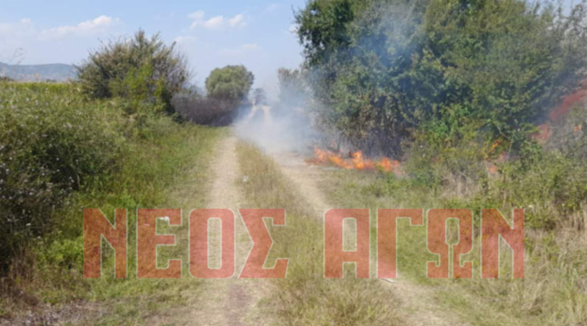 Πυρκαγιά στην Κρύα Βρύση Καρδίτσας - Επιχειρούν εναέρια μέσα
