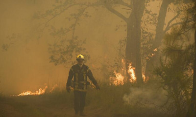 Οι πυρκαγιές στην Ευρώπη έχουν κάψει 6,6 εκατ. στρέμματα